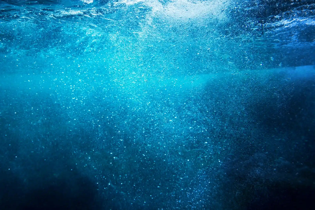 Under the surface maritimt collagen france
