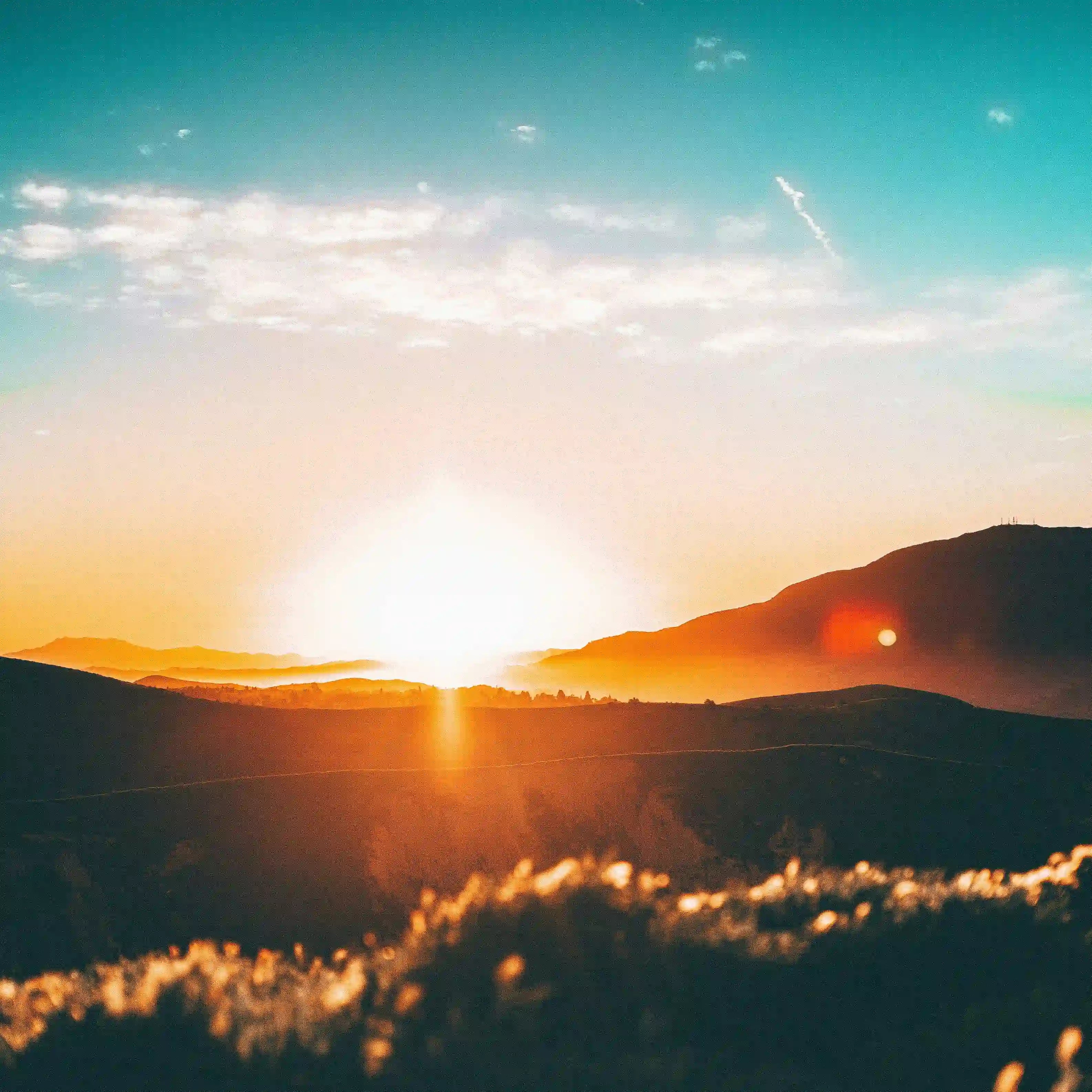 Vitamin D3 for Immunity, Muscles and Bones