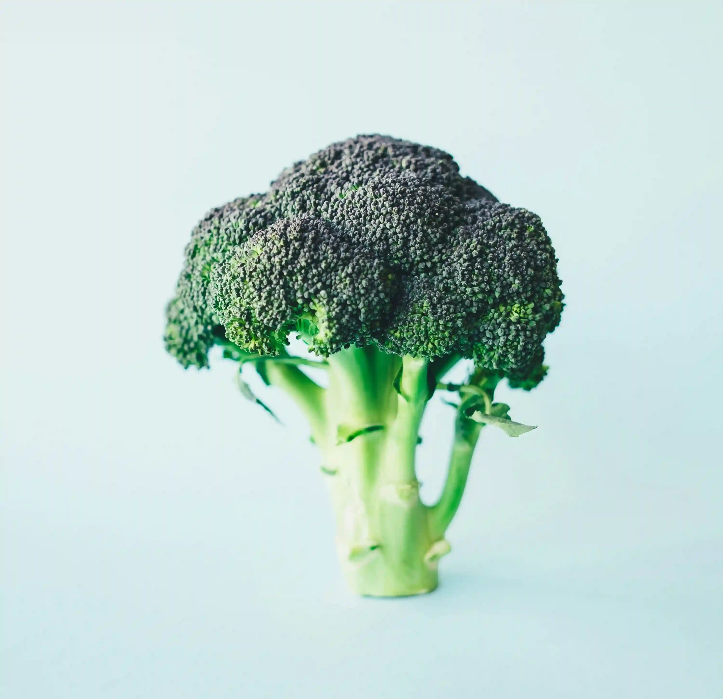 Vitamin B2 for Skin and Cellular Energy
